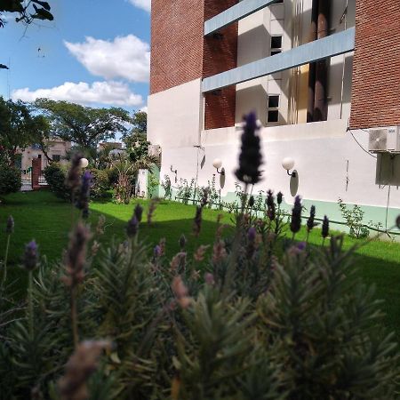 Quintana Hotel San Luis Extérieur photo